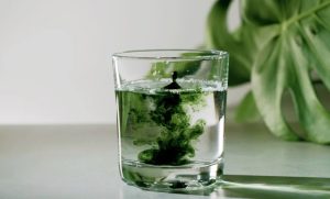 کلروفیل برای لاغری