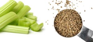 تخم کرفس برای لاغری