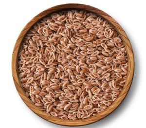 اسفرزه برای لاغری