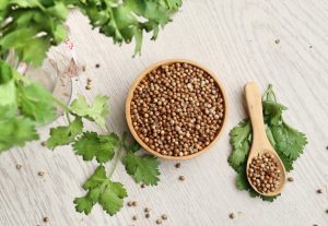 تخم گشنیز برای لاغری