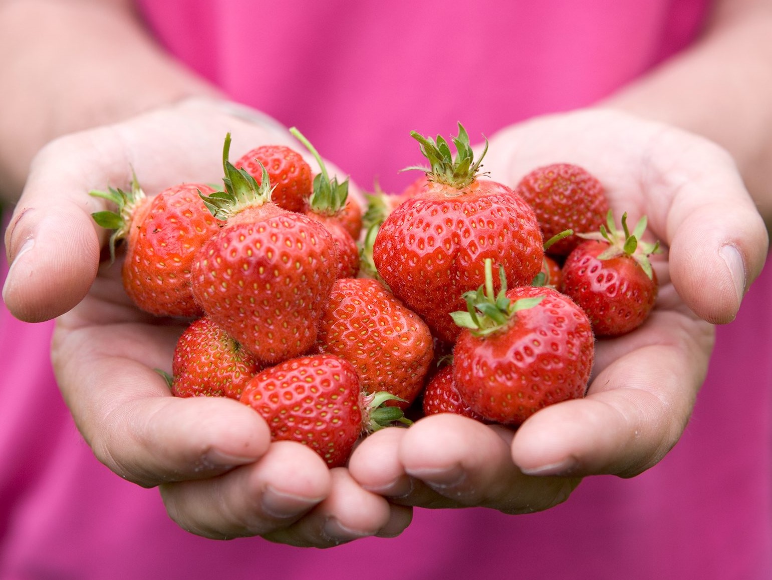 خواص توت فرنگی - خواص توت فرنگی