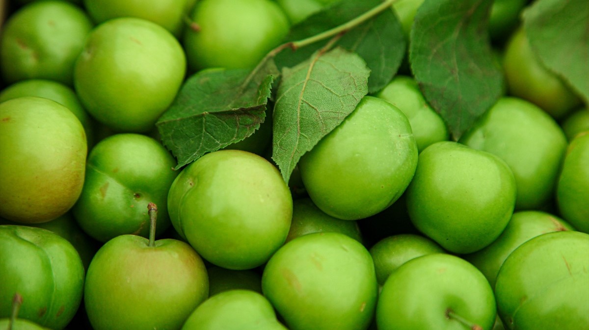 میوه ی مجاز برای زنان باردار - خواص گوجه سبز