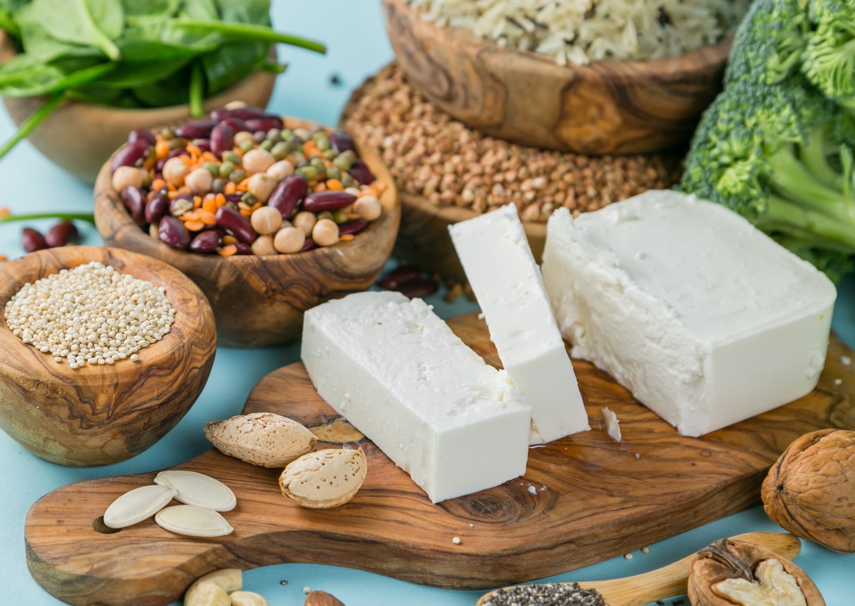 مزایای مصرف پروتئین - بهترین پروتئین برای لاغری