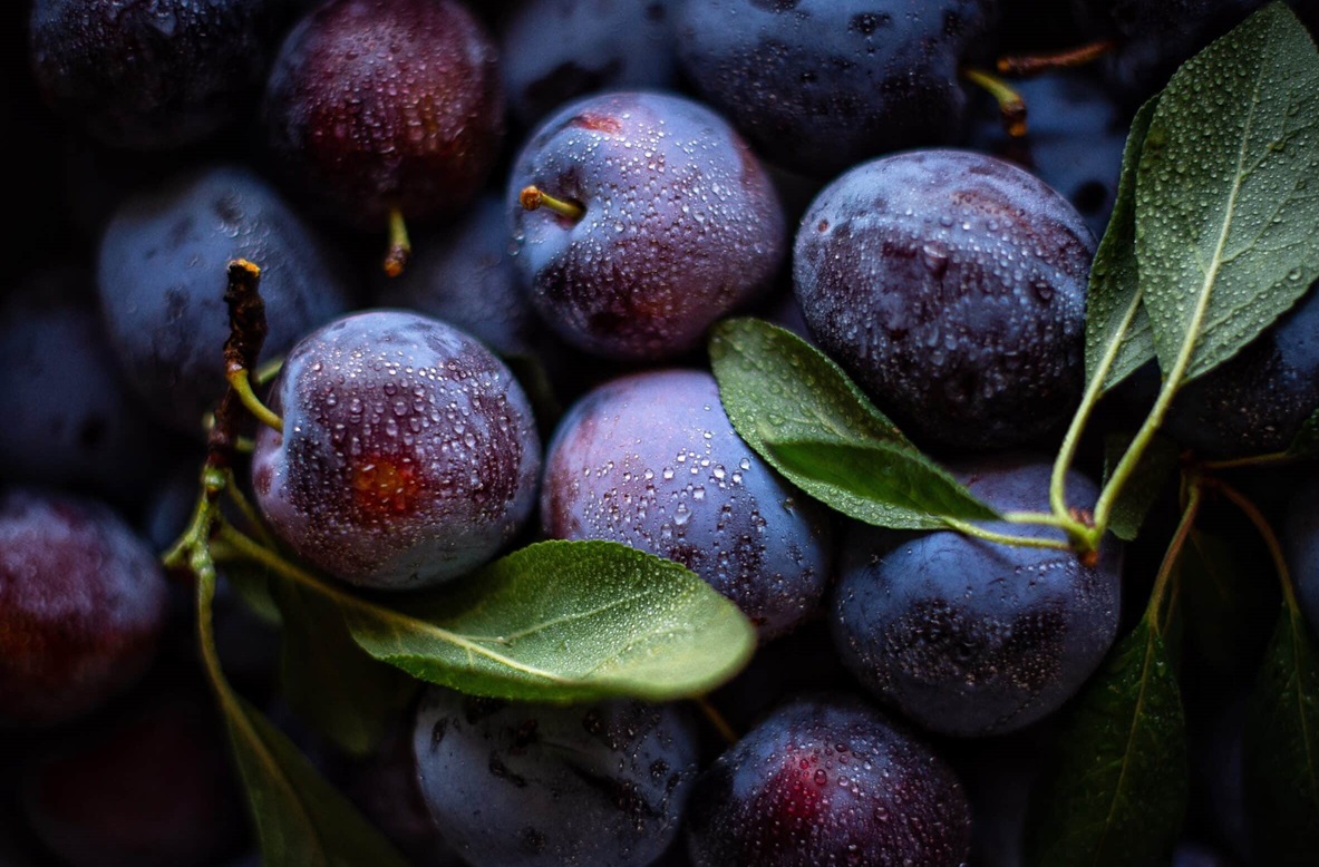 آلو - میوه های مناسب برای یبوست