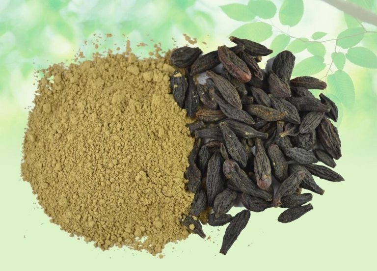 طریقه مصرف هلیله سیاه برای لاغری