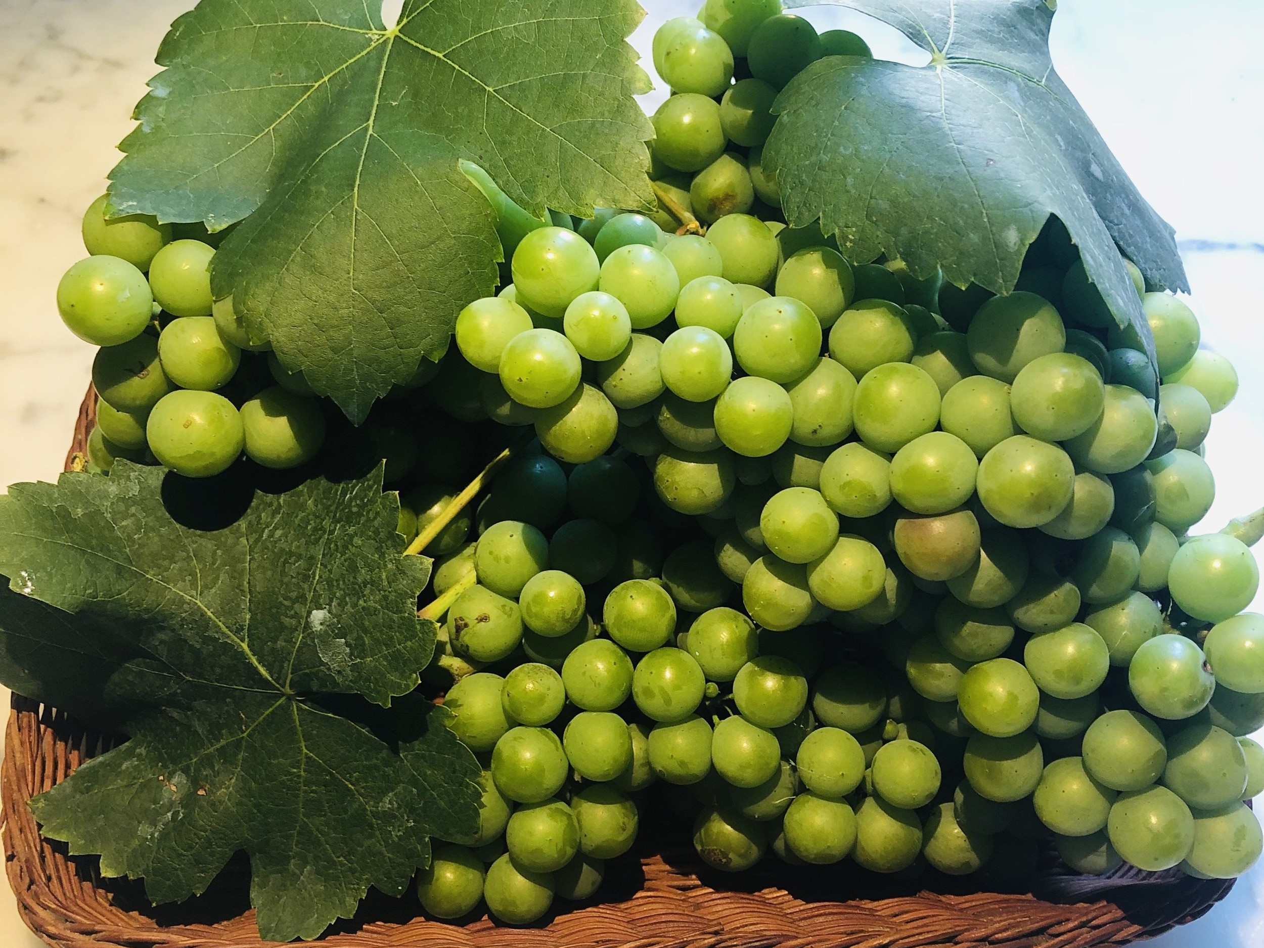 خواص آبغوره - رژیم آبغوره برای لاغری