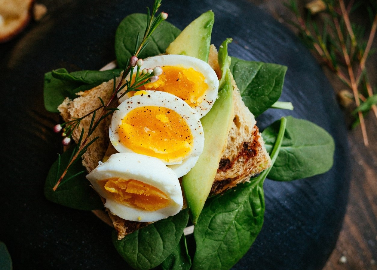 تخم مرغ - غذاهای چربی سوز