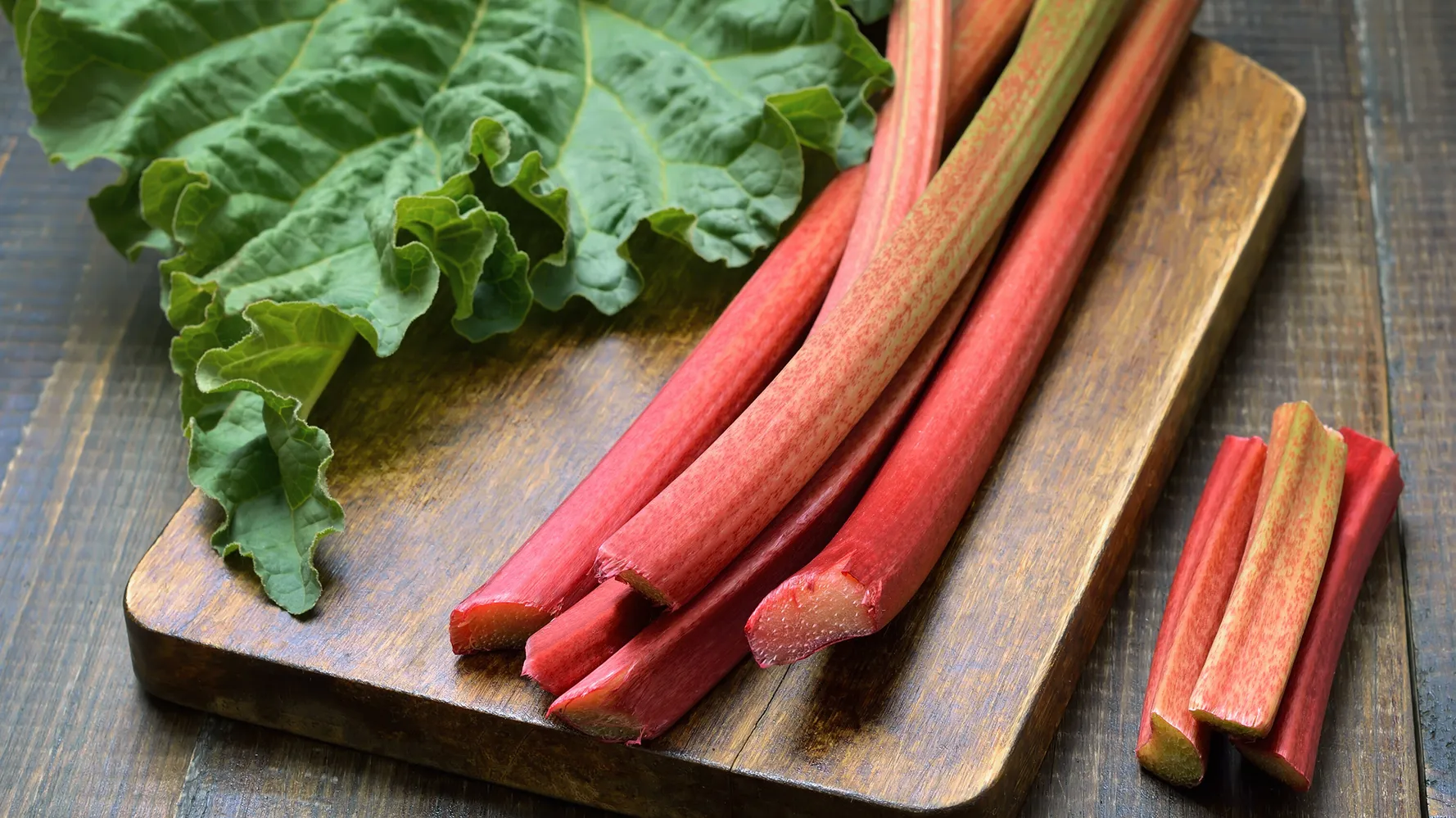 خواص ساقه ریواس - خواص ریواس