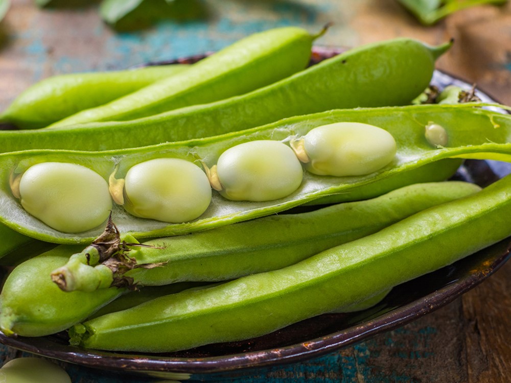 باقالی - خواص باقلا برای لاغری