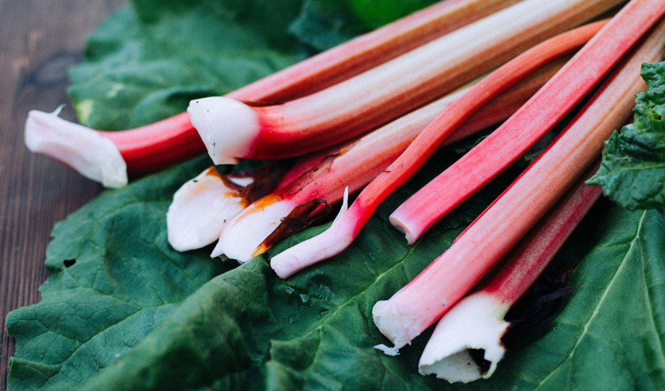 ریواس - خواص ریواس