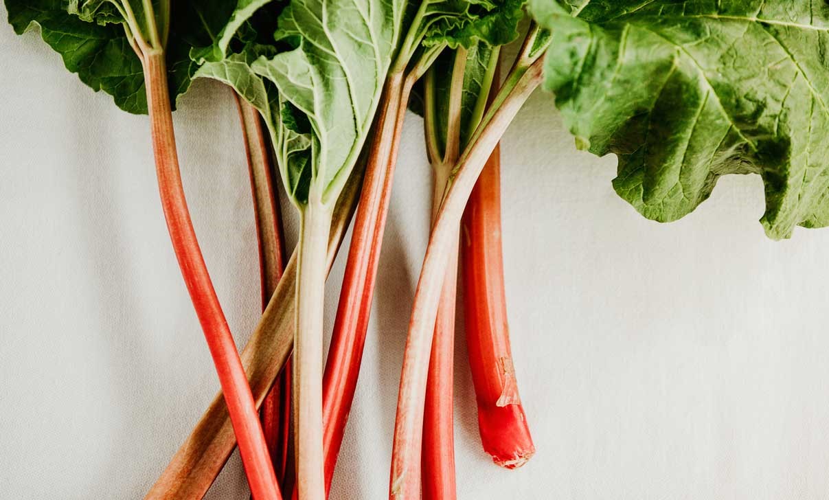 نحوه مصرف ریواس - خواص ریواس