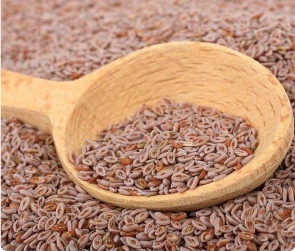 خواص اسفرزه - طریقه مصرف اسفرزه برای لاغری