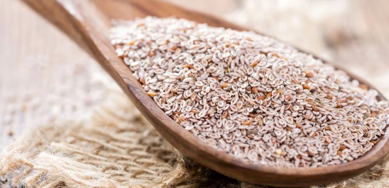 طریقه مصرف اسفرزه برای لاغری - زمان خوردن اسفرزه برای لاغری