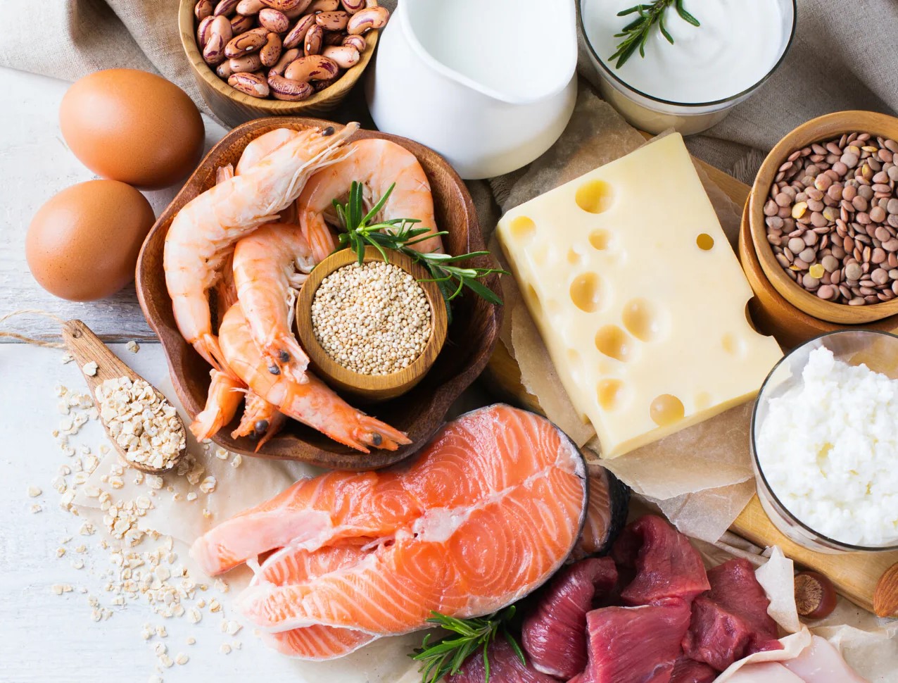 منابع پروتئینی - پروتئین مورد نیاز بدن