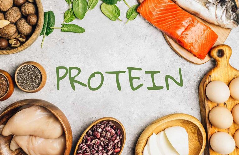 پروتئین مورد نیاز بدن