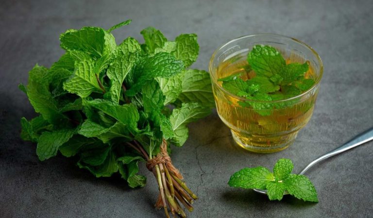 عرق نعناع برای لاغری شکم