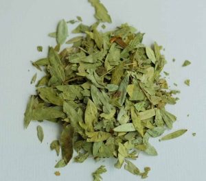 طریقه مصرف برگ سنا برای لاغری