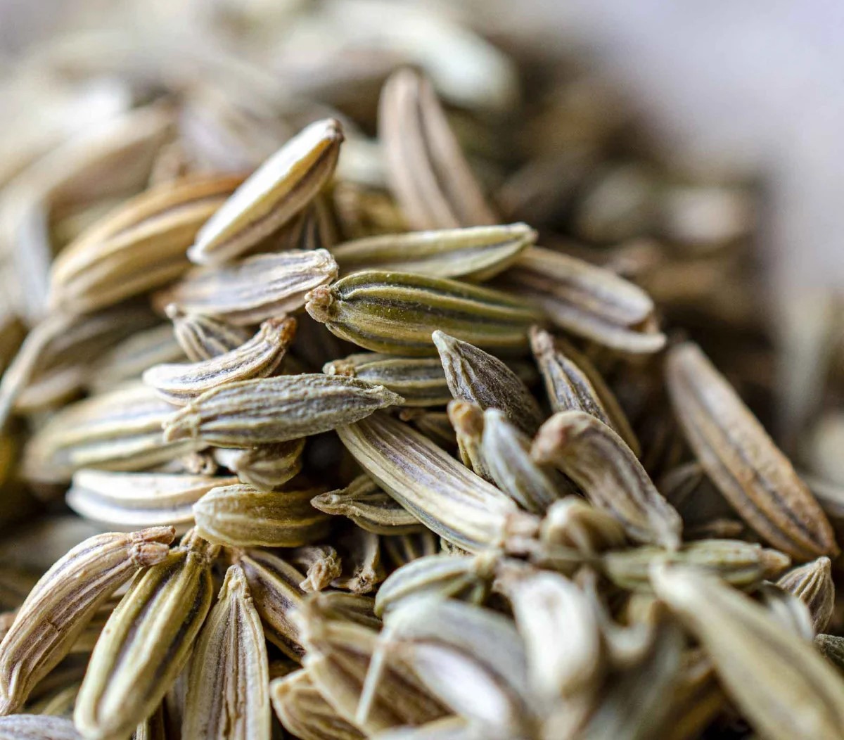 روغن برای چاقی صورت - روغن رازیانه برای چاقی صورت