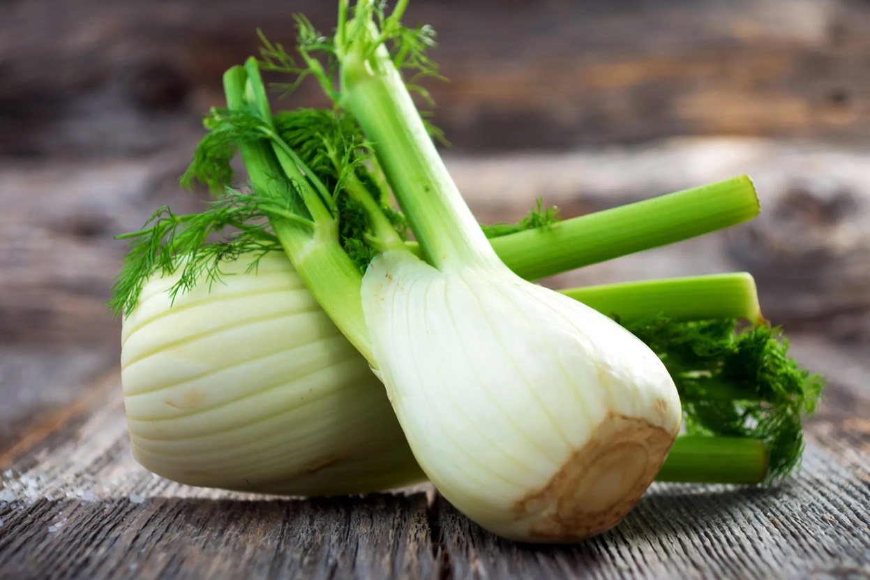 عرق رازیانه - روغن رازیانه برای چاقی صورت