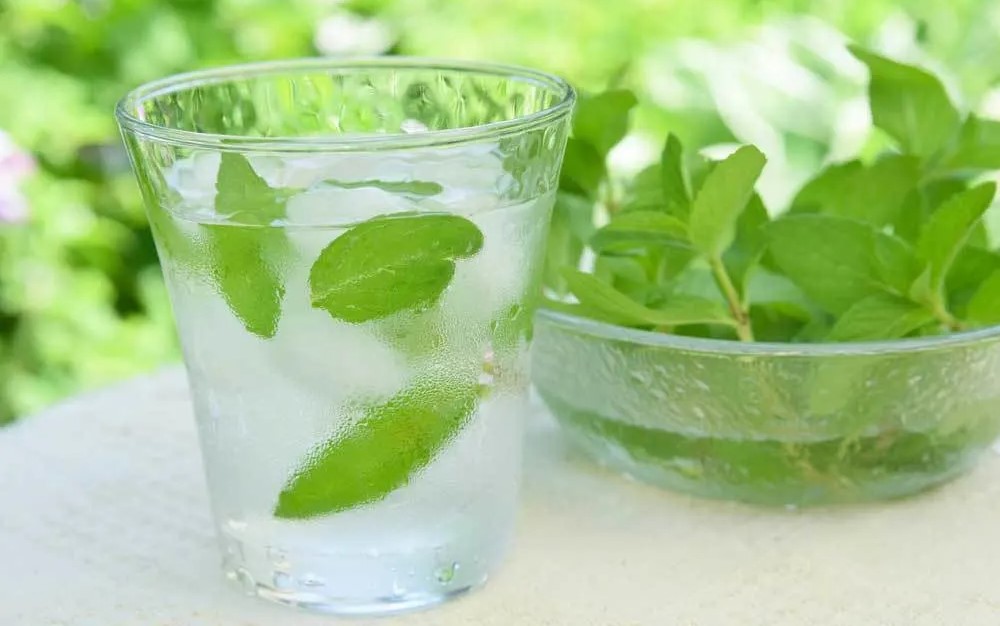 خواص عرق نعناع - عرق نعناع برای لاغری شکم