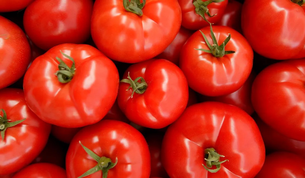 خواص گوجه فرنگی - رژیم لاغری سریع با گوجه فرنگی