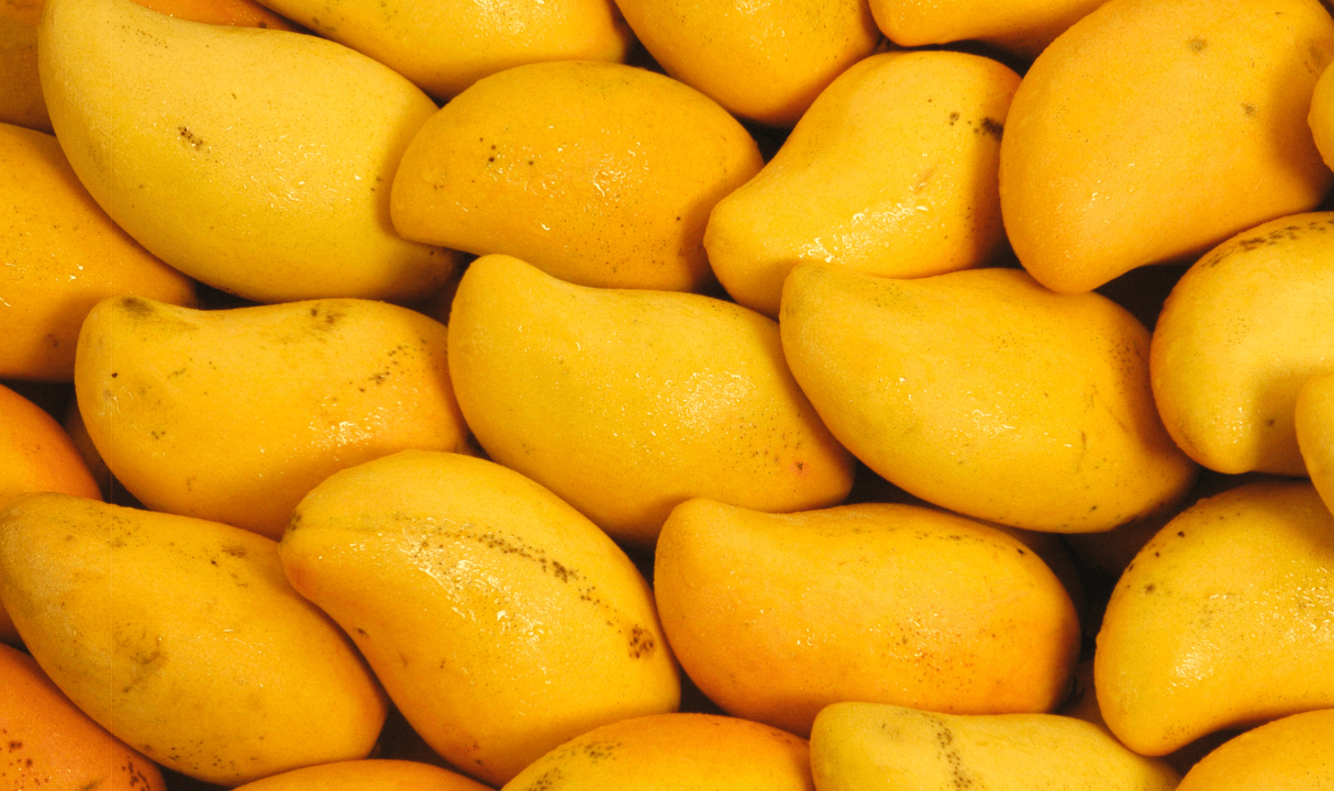 خواص انبه - خواص انبه برای لاغری