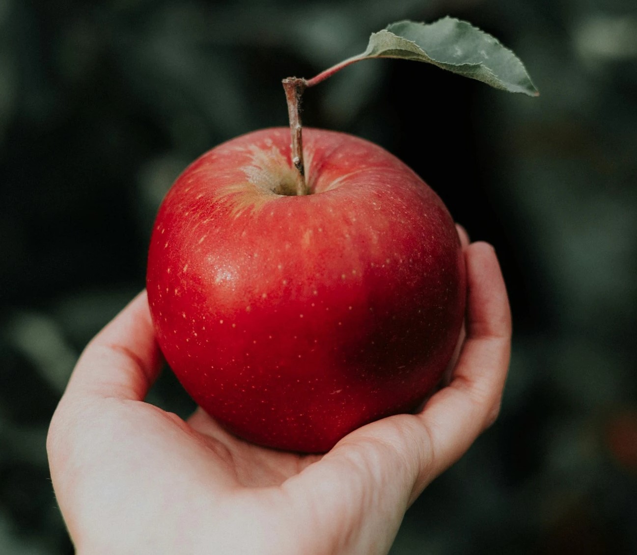 خواص سیب - رژیم سیب درختی