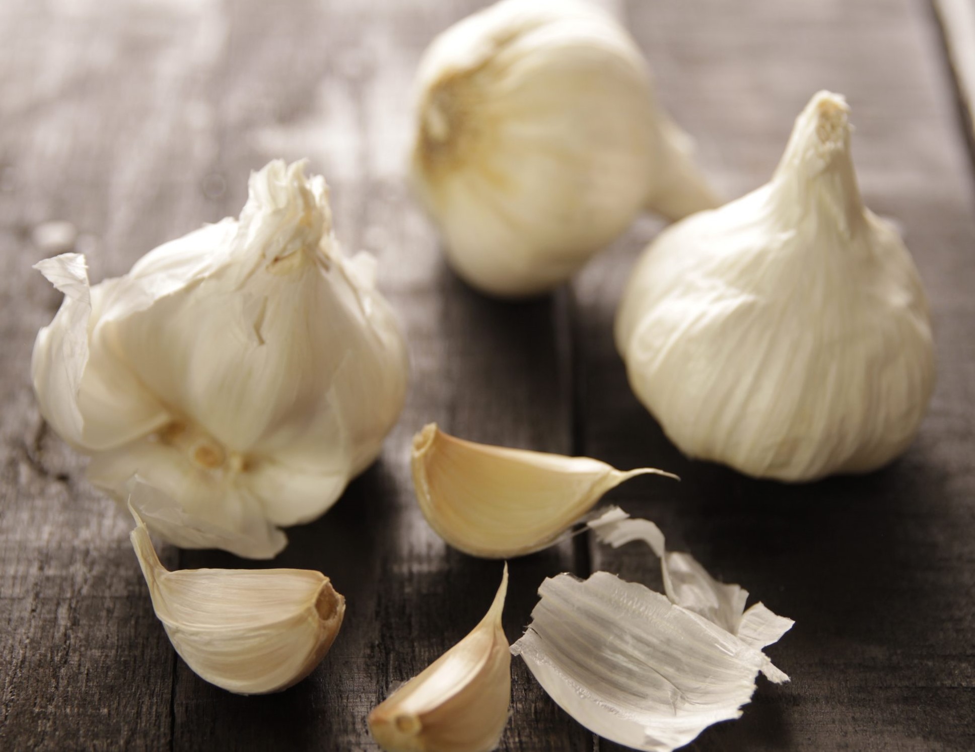 خواص سیر خشک - خواص سیر خشک ناشتا