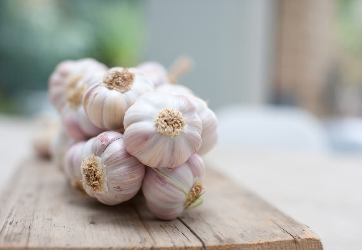 سیر خشک برای لاغری - خواص سیر خشک ناشتا