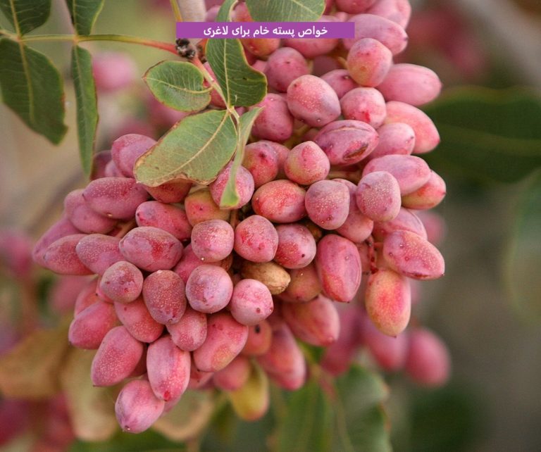 خواص پسته خام برای لاغری