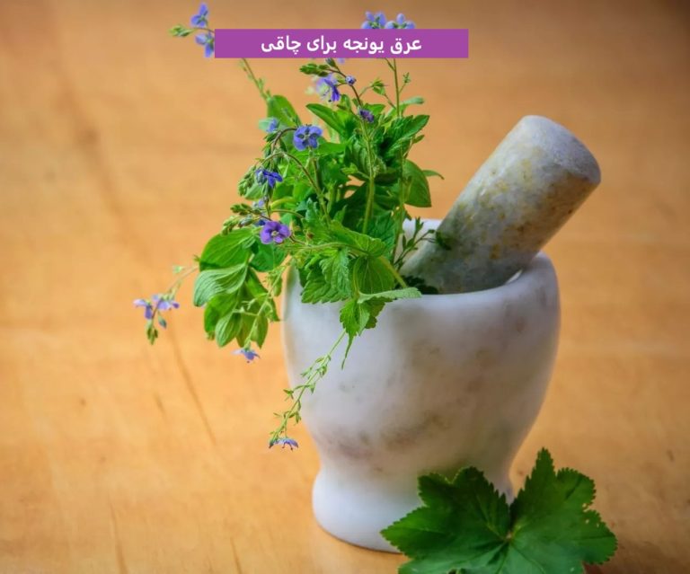 عرق یونجه برای چاقی