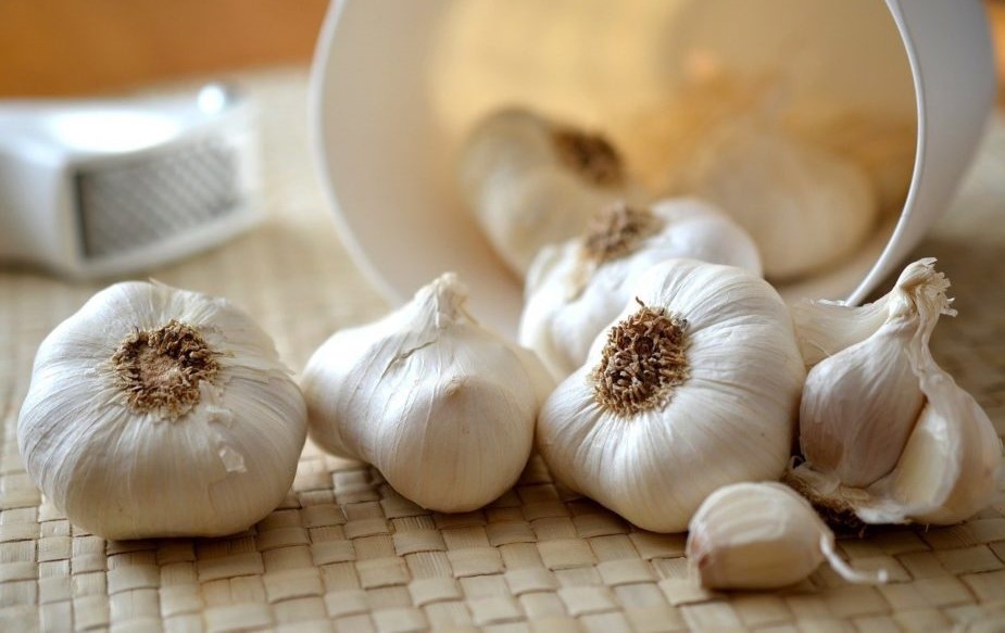 سیر ناشتا برای لاغری - خواص سیر خشک ناشتا