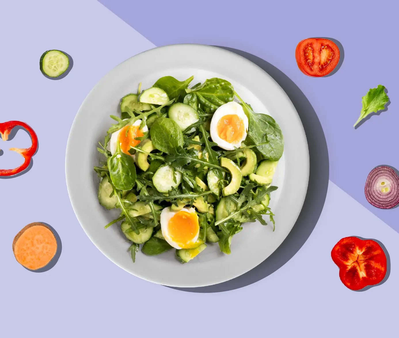 غذاهای مجاز در رژیم گیاهخواری - برنامه غذایی گیاهخواری